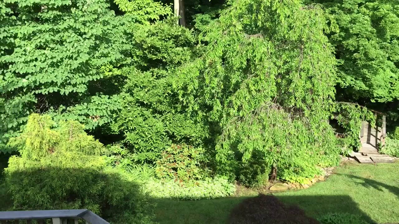 893 Braemore Cincinnati, OH 45233