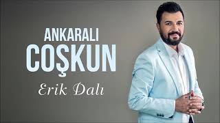 Ankaralı coşkun erik dalı gevrektir Resimi