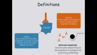 AS level. J.1  Defence against disease and phagocytosis Ms Cooper