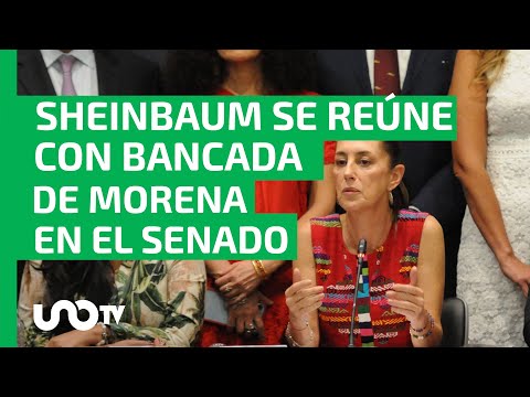 Claudia Sheinbaum se