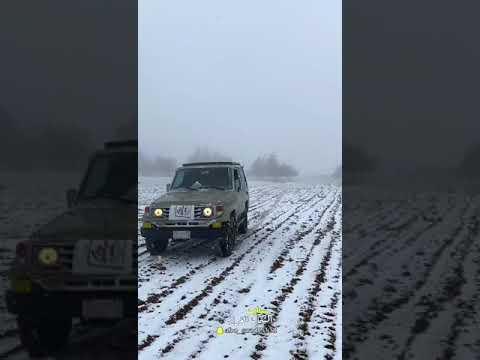 ثلوج مرتفعات جنوب الاردن طريق شوبك وحواله الخميس ٩ يناير