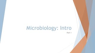 Microbiology Basics: Bacteria Shapes and Arrangements