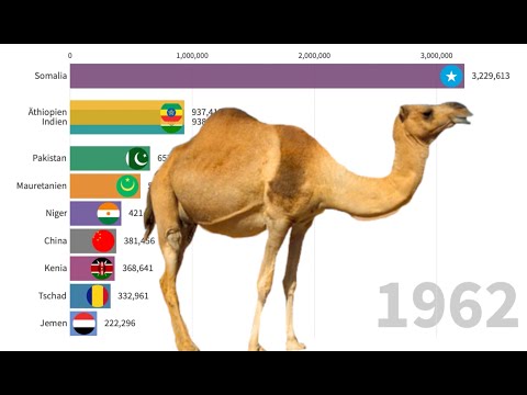 Kamelbestand der einzelnen Länder ( 1962 - 2016)