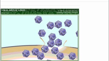 Microbiology Viruses