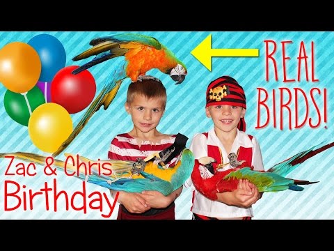 Birthday Party Time!! TWINS Best-Ever Pirate & Parrots Party Games Cake Fun
