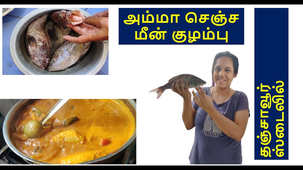 Spicy Thanjavur meen Kulambu Fish Curry Fish Fry Amma samayal
