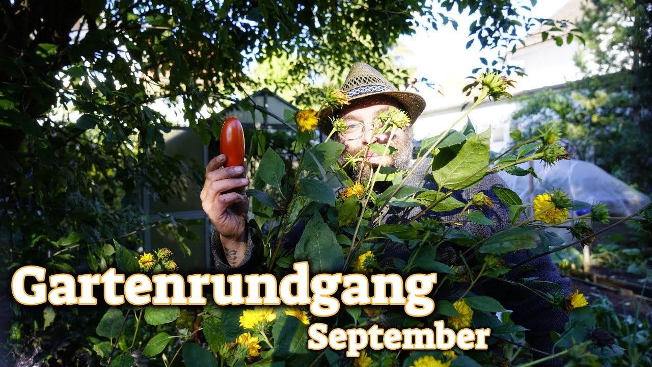 Gartenrundgang im September