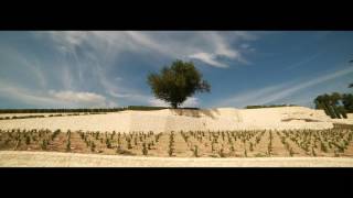 Chateau Pavie, Saint-Emilion 1Er Grand Cru Clé A
