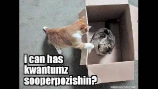 Schrodingers Cat TAGs Logical Absolutes (in the Nuts)