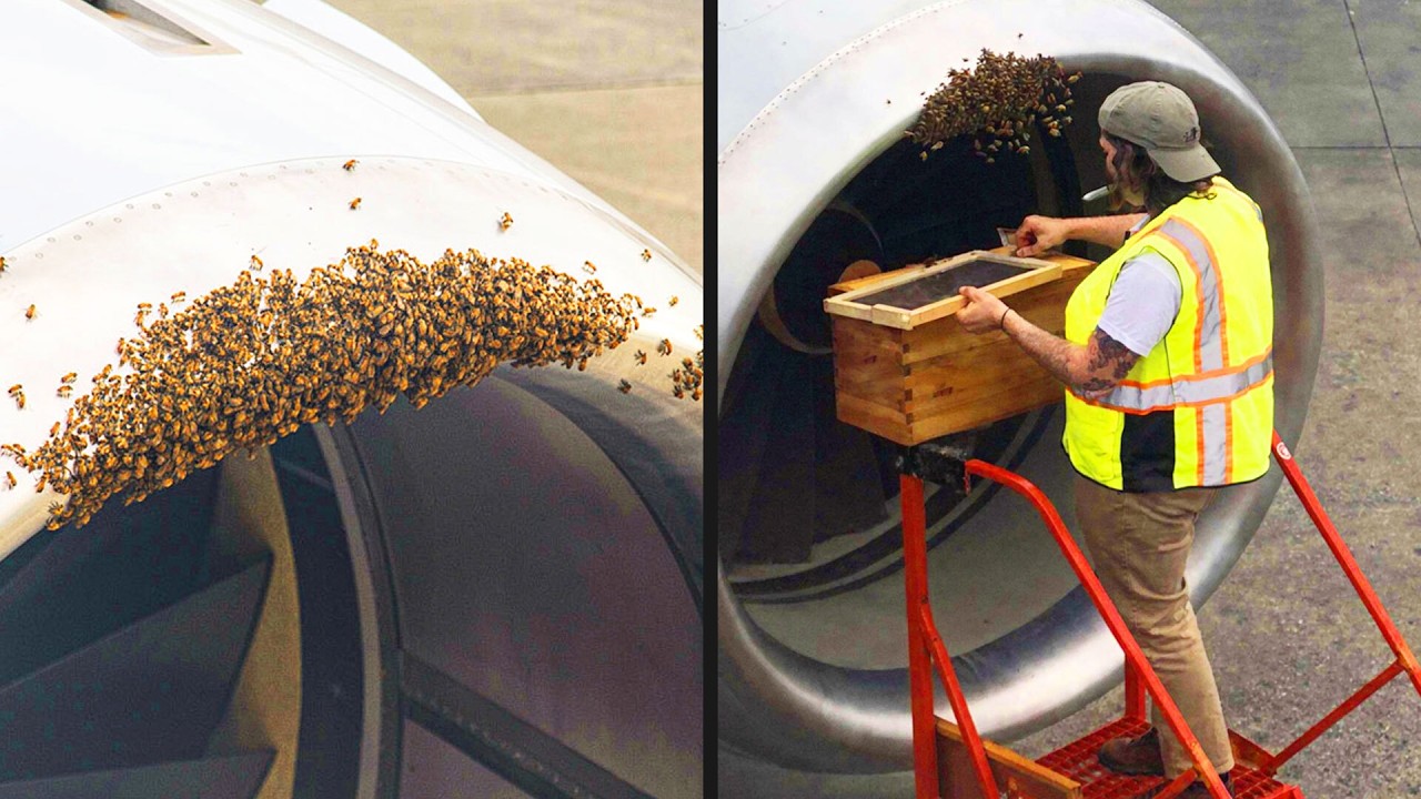 The Weirdest Flight Delay