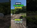 호수가 전원주택부지 전336평 매7700만원 옥천안내면#보은부동산 #shorts