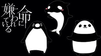 テイコウペンギン Youtube テイコウペンギン Youtube