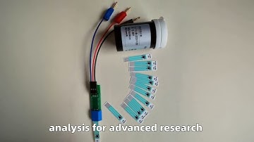 Screen-Printed Electrode Electrode Electrochemical Biosensor Carbon Electrode Micro-sample Analysis