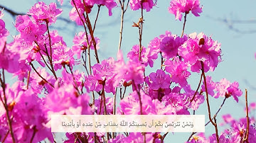 52 سورة التوبة الآية