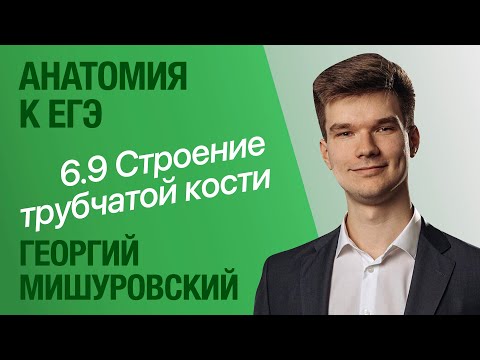 6.9. Строение кости. Виды костей | Анатомия к ЕГЭ | Георгий Мишуровский