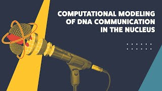 Computational Modeling of DNA Communication in the Nucleus