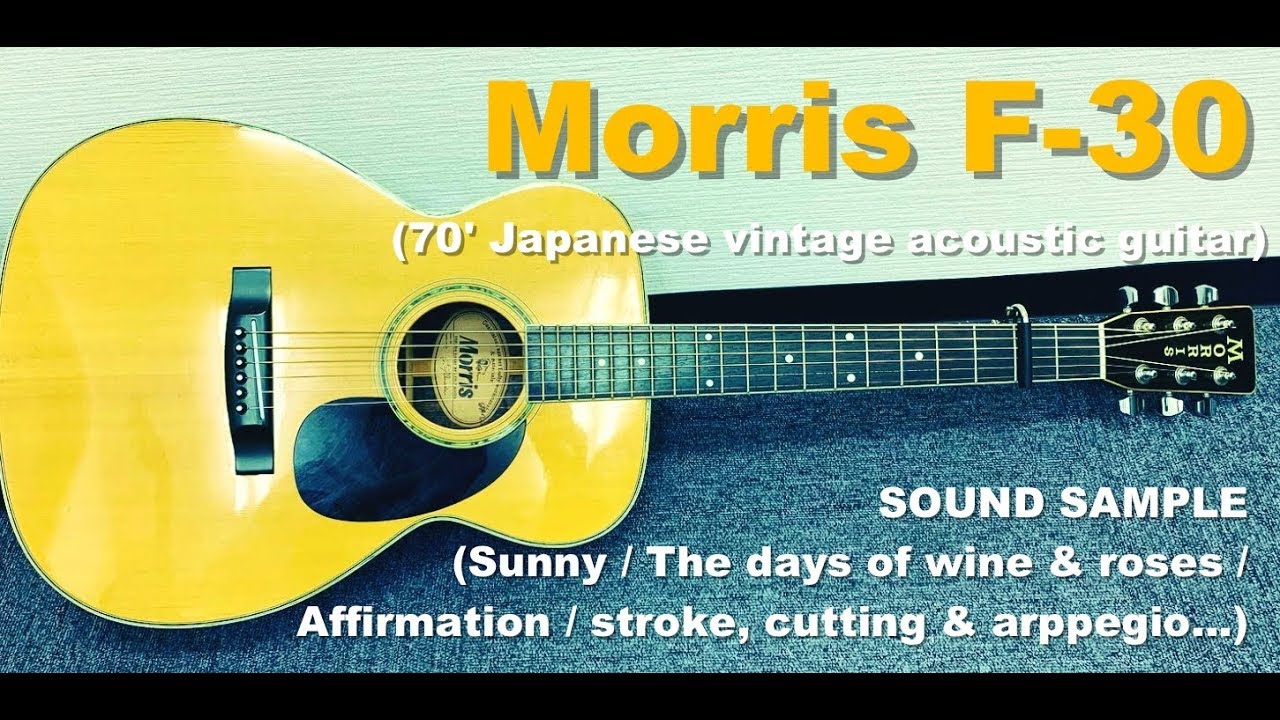 ☆ビンテージ品・縦ロゴ☆ MORRIS F-30　 アコースティックギター