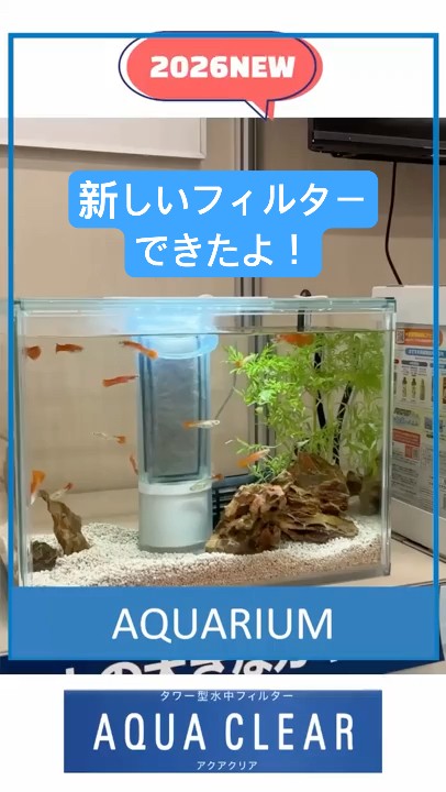 New Product] The Secret of the New Filter 