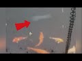 15个鏡頭下的靈異事件 | 鏡頭下的靈異、恐怖的視頻片段!