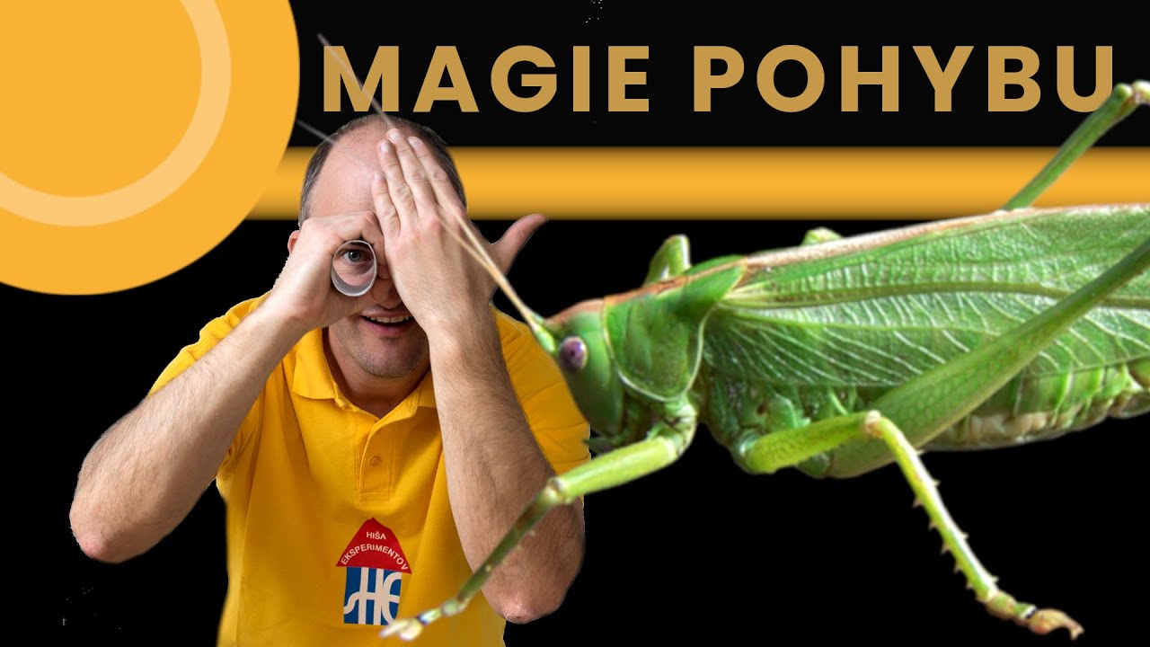 MAGIE POHYBU - Luka Vidic