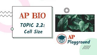 AP Biology 2.2: Cell Size | AP Playground