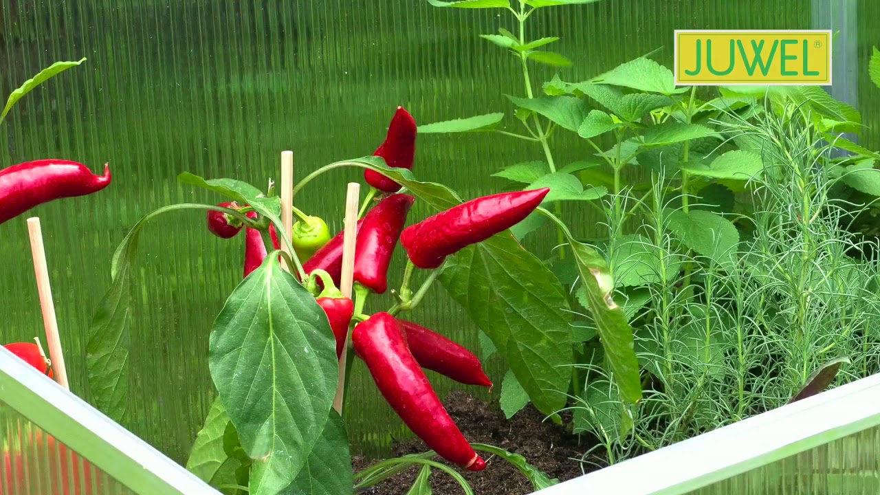 JUWEL raised bed TIMBER Combi - Set