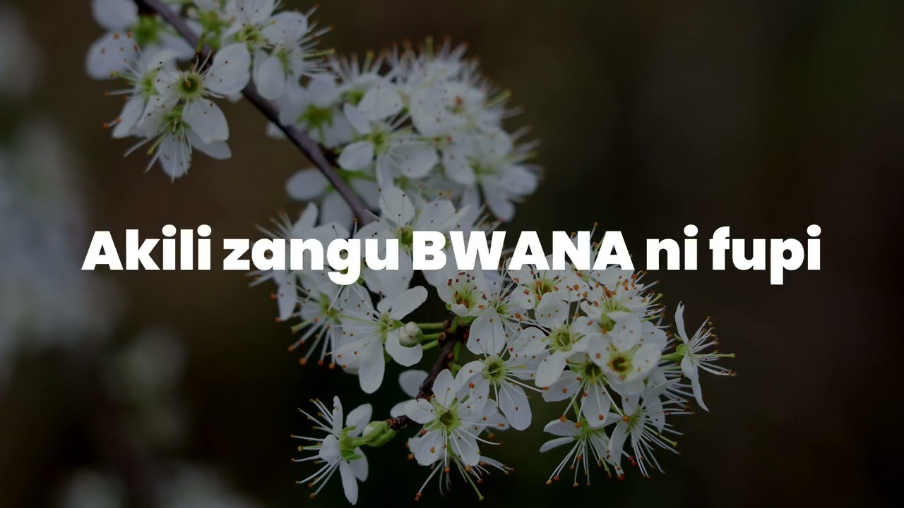 Msanii Music Group  BWANA NIELEZE  Official Video Lyrics