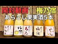 開封動画.梅乃宿.あらごし果実酒5本.北海道ジャパン