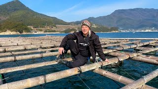 Japanese Fisherman Started Farming Oysters Becasue He Wanna Eat Them!