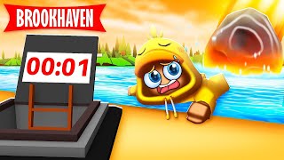 Het Laatste Uur Van BROOKHAVEN! (Roblox)