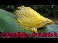 【危険】これに出会ってしまったら確実に○にます。