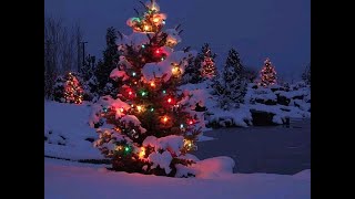 Winter/Christmas Liminal Spaces Compilation #2