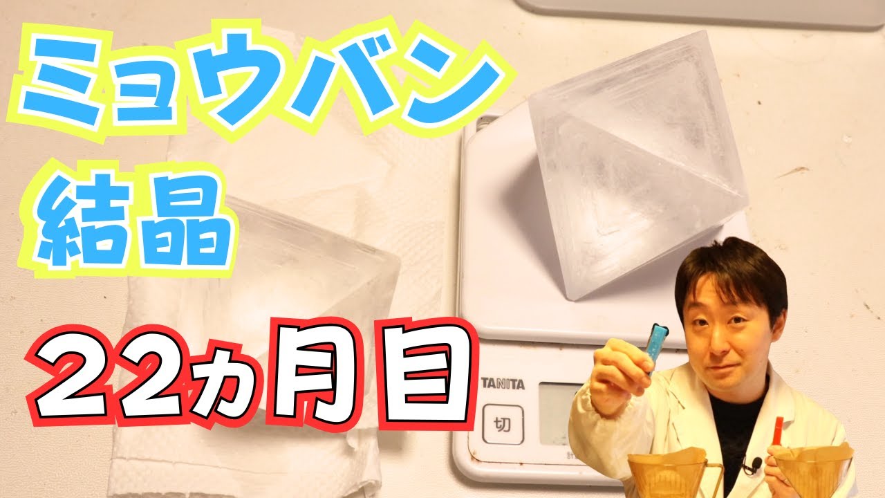 ミョウバン結晶育成記録】22ヵ月のご報告 - YouTube