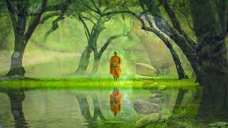 528Hz Tranquility Music For Self Healing & Mindfulness  Light Music For Tranquility