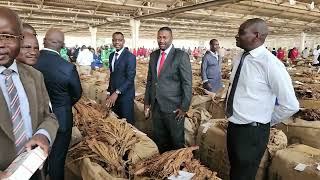 Malawi Tobacco Auction Tour Malawi Tobacco Auction Tour