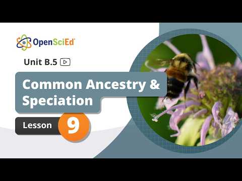 Unit B.5 Lesson 9 Planning Video | OpenSciEd On-Demand Resources