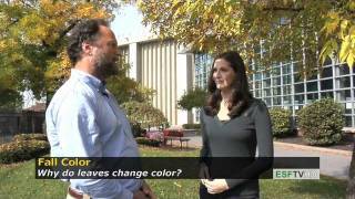 Trees with Don Leopold - Fall Color Edition