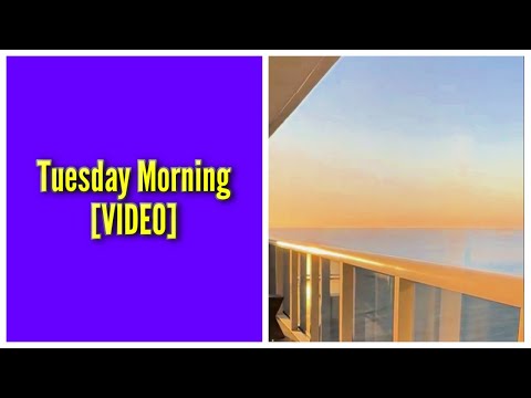 Tuesday Morning