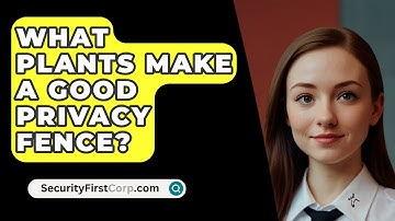 What Plants Make A Good Privacy Fence? - SecurityFirstCorp.com