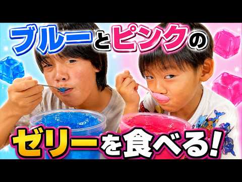 Kanato-kun and Mitsuki-kun eat a giant bucket of jelly! A look at the Dashima family's daily life