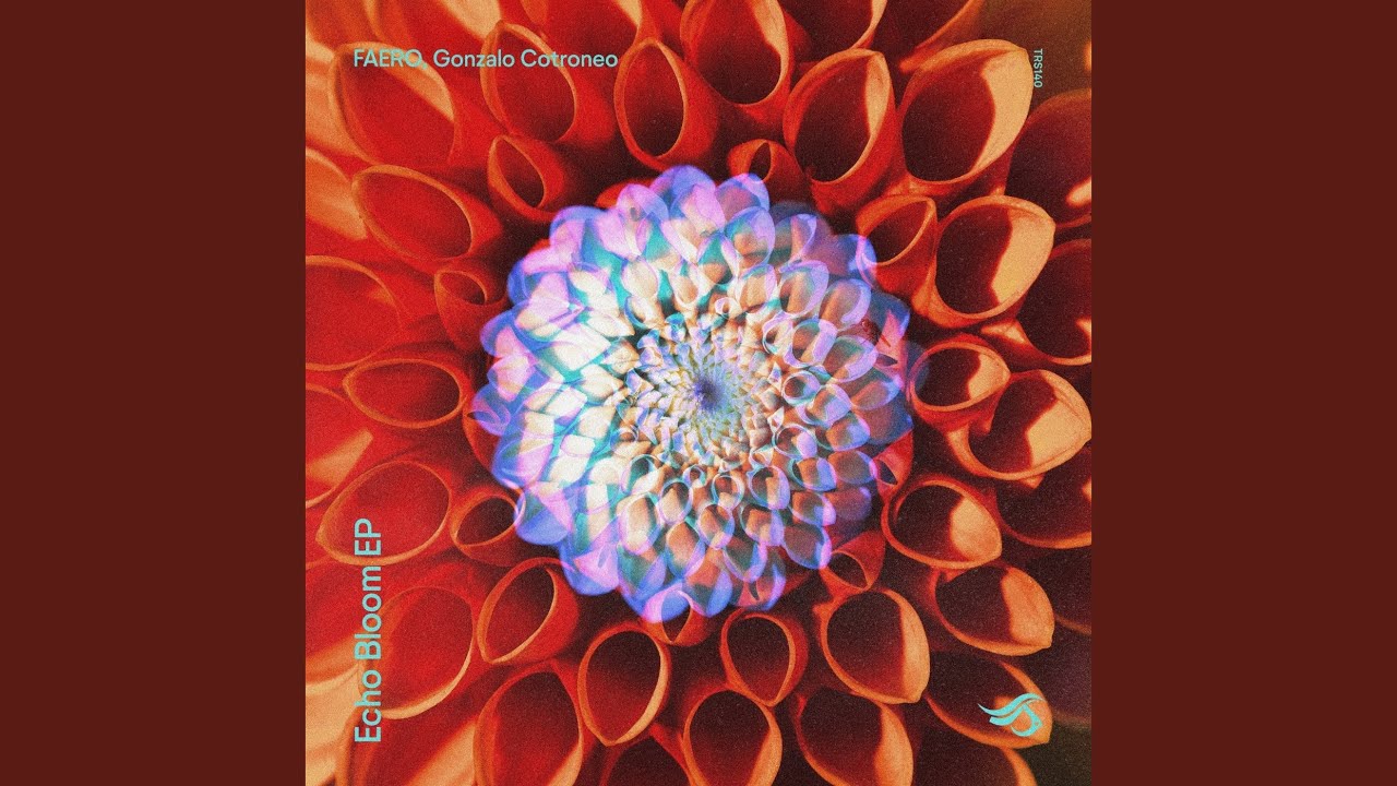 Echo Bloom bekijken op YouTube Echo Bloom bekijken op YouTube