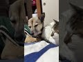 まさか!最後にそうなるの?