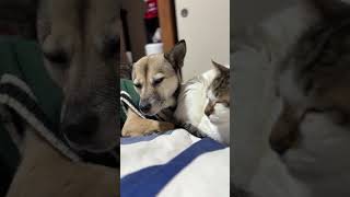 まさか!最後にそうなるの?