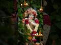 Hare Krishna 🙏#devotionalhits #devotionalsongs #trending #song