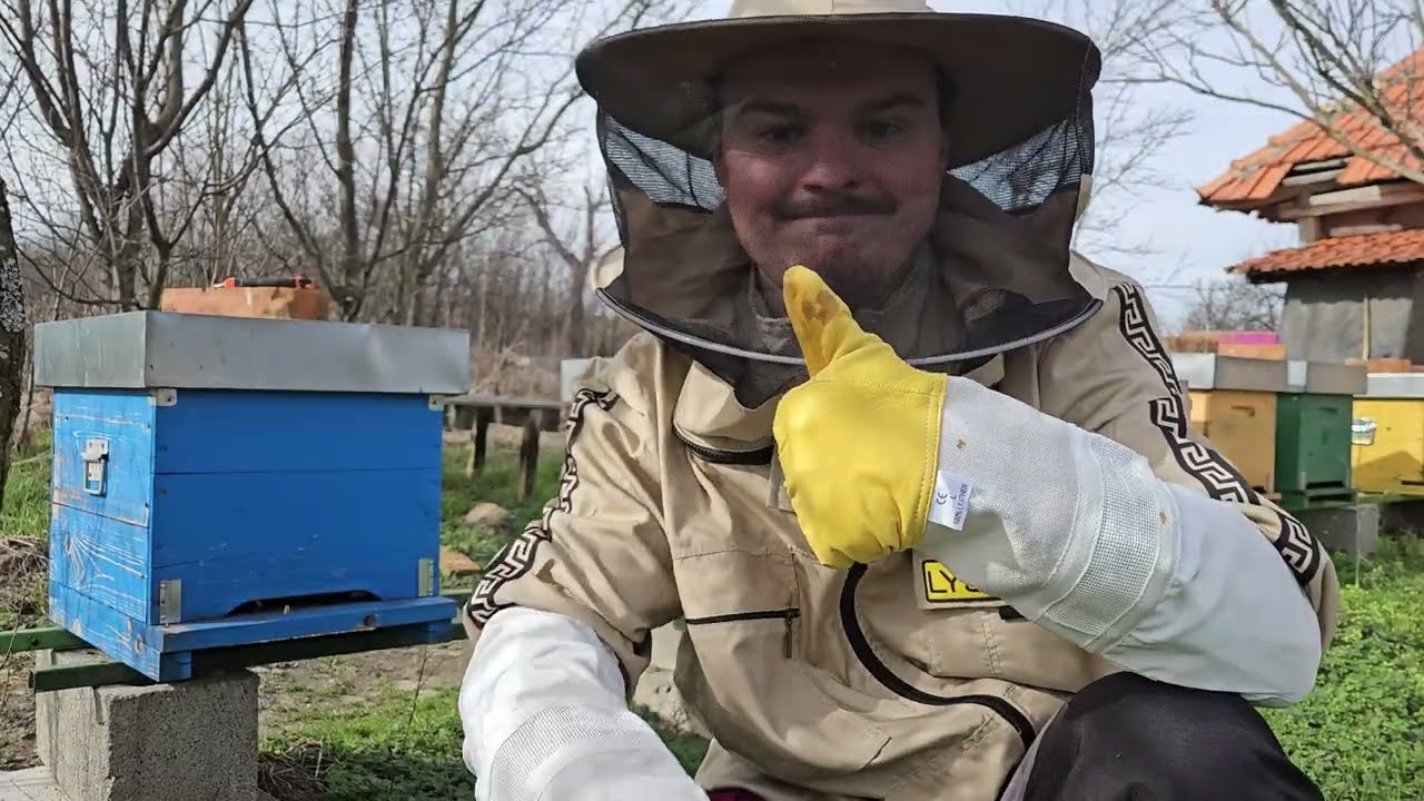 Rýchla kontrola včiel 14.2.2026 (Albine / Bienen / Honeybees)