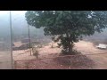 Misty Mountain of Bhimashankar, a trekkers paradise #misty #bhimashankar #mountain