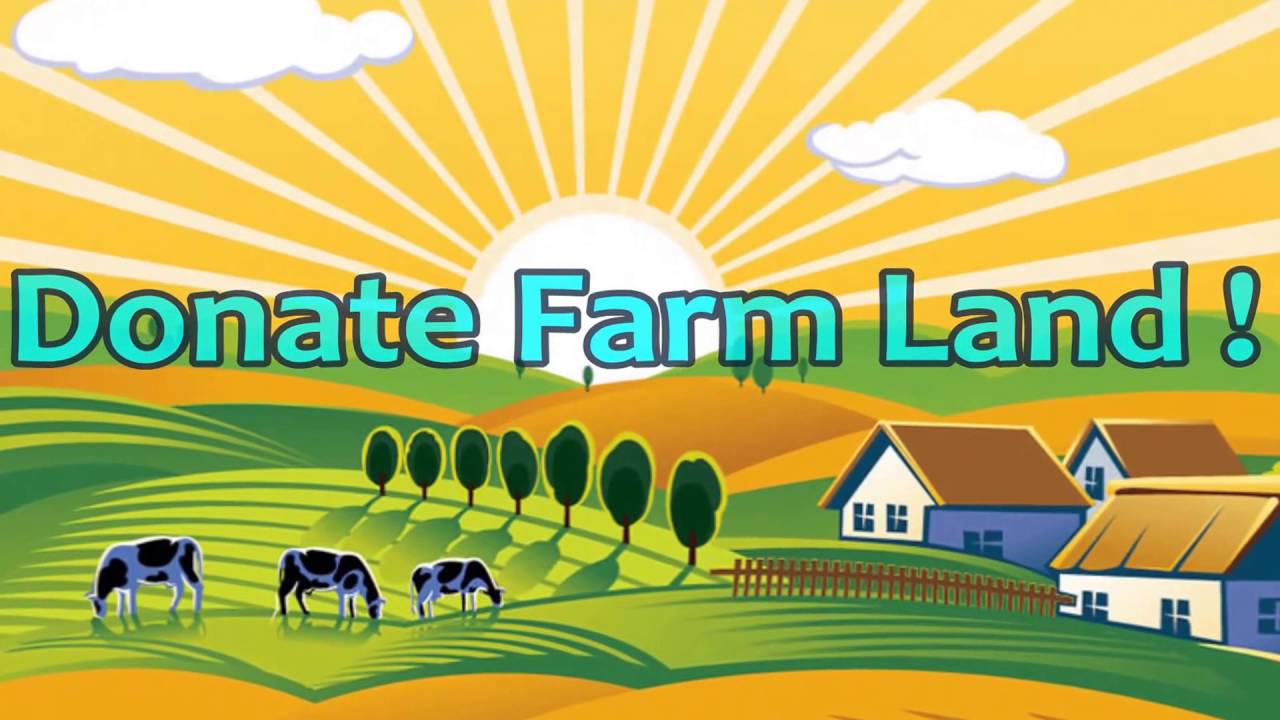 Donate Vehicle Donate Real Estate Donate Collectibles Donate