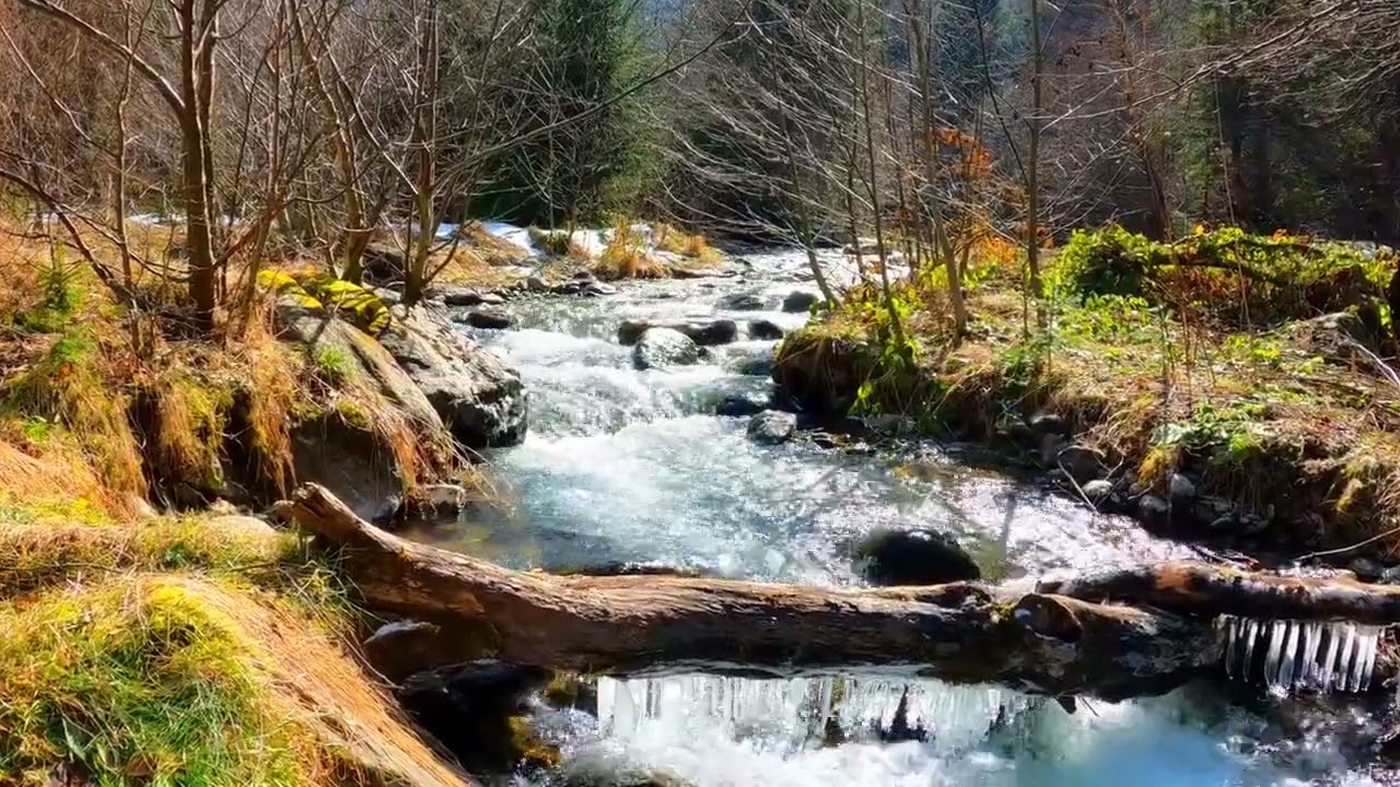 Nature - Un soleil radieux, une eau cristalline. Arrêtez-vous, détendez-vous !