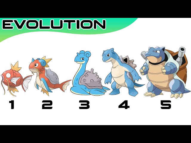 Pokémon Evolutions You Didn't Know #69 : Every Pikachu Evolution