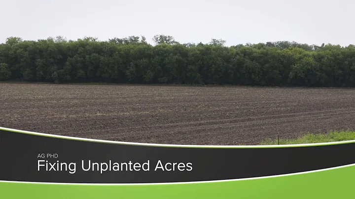 Fixing Unplanted Acres (From Ag PhD Show #1166 - Air Date 8-9-20)